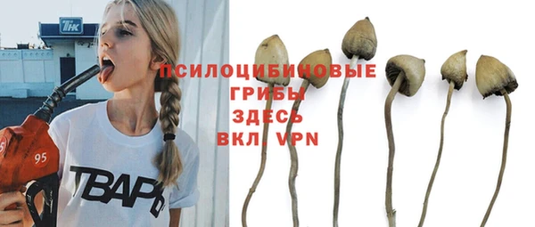герыч Балахна