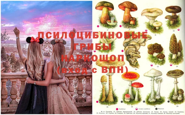 ECSTASY Баксан