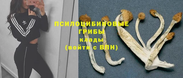 хмурый Балабаново